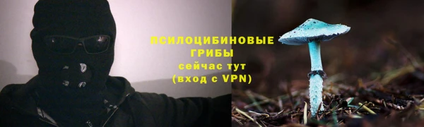 соль ск Алексин