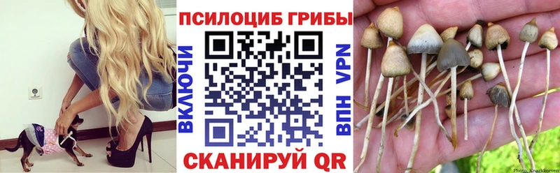 Псилоцибиновые грибы Psilocybine cubensis  ссылка на мегу рабочий сайт  Миасс 